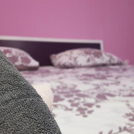 Apartmani Milutin بروداريكا المظهر الخارجي الصورة