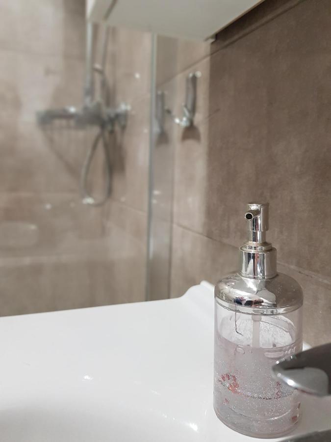 Apartmani Milutin بروداريكا المظهر الخارجي الصورة