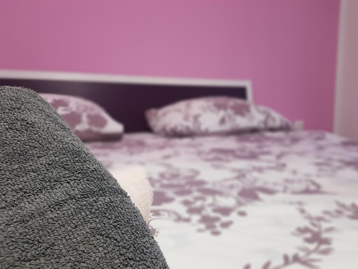 Apartmani Milutin بروداريكا المظهر الخارجي الصورة