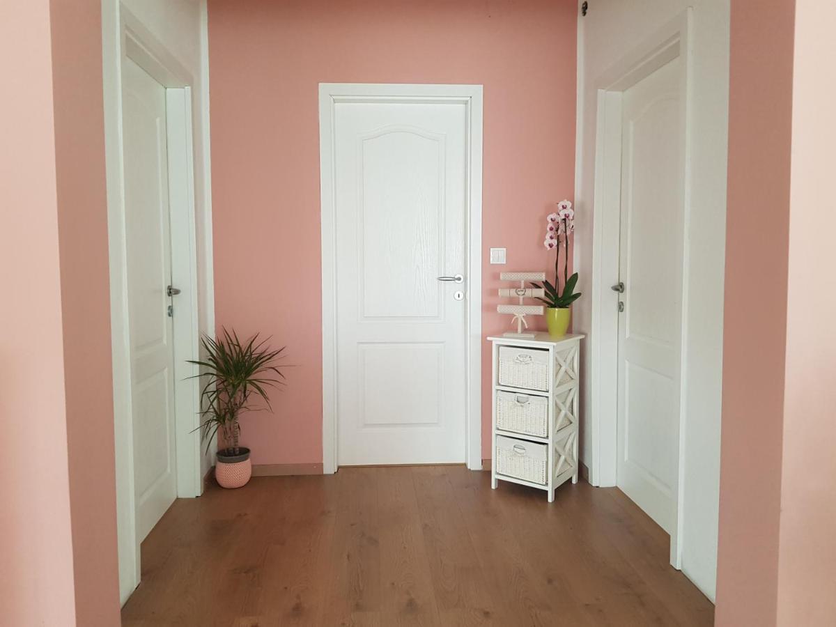 Apartmani Milutin بروداريكا المظهر الخارجي الصورة