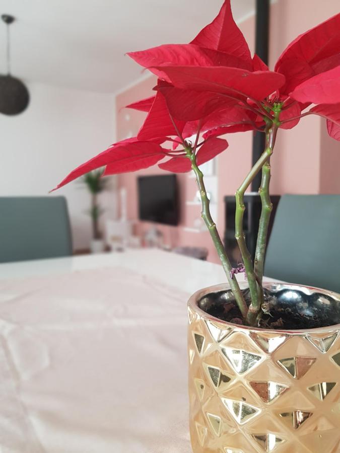 Apartmani Milutin بروداريكا المظهر الخارجي الصورة